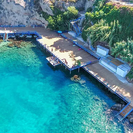 Wise & - Adults Only